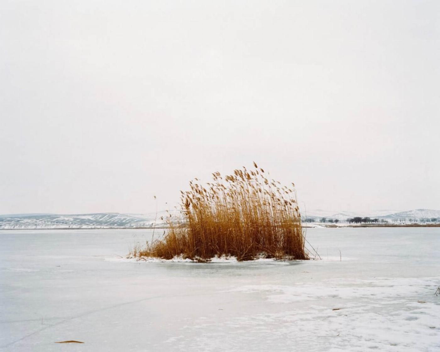 Pascual + Vincent155