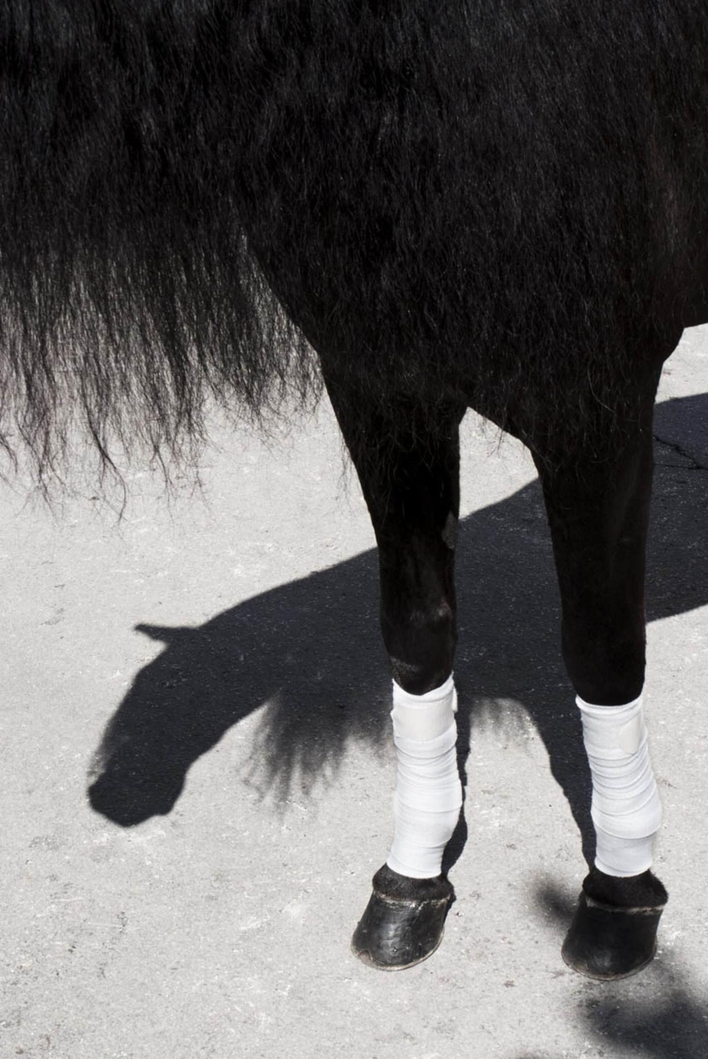 Fuchina David Salcedo