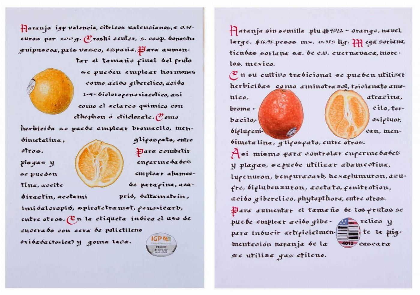 Hervario V Gabriel Garzilazo