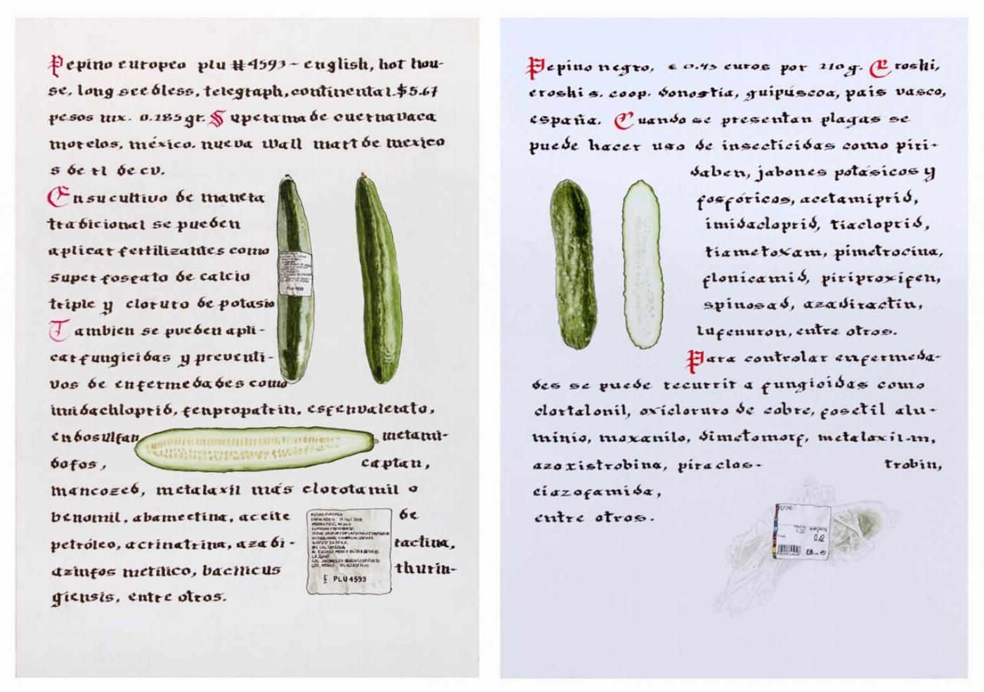 Hervario VII Gabriel Garcilazo