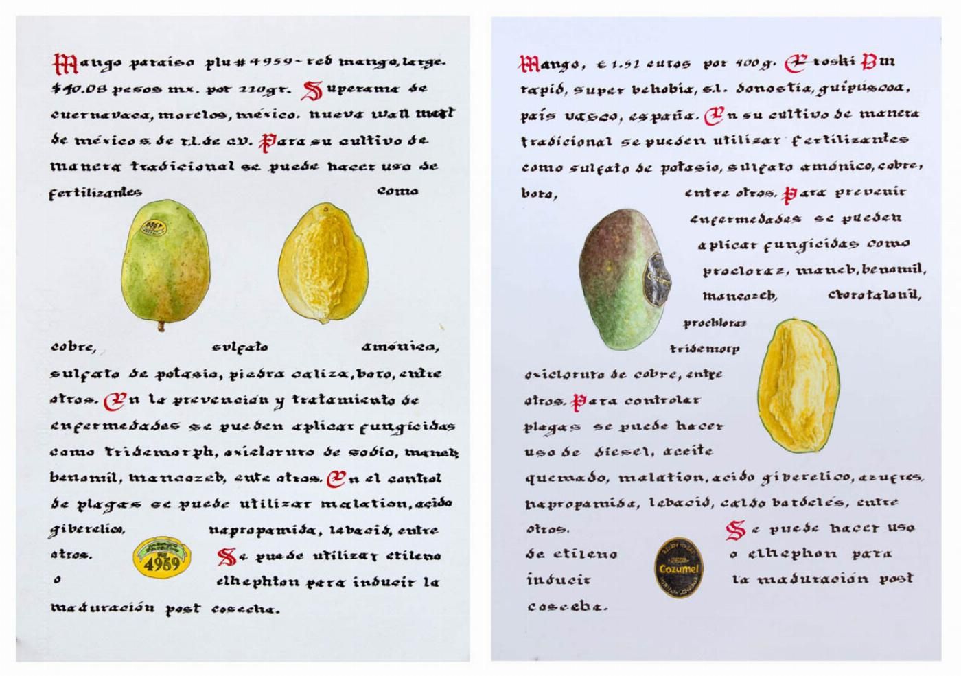 Hervario VIII Gabriel Garzilazo