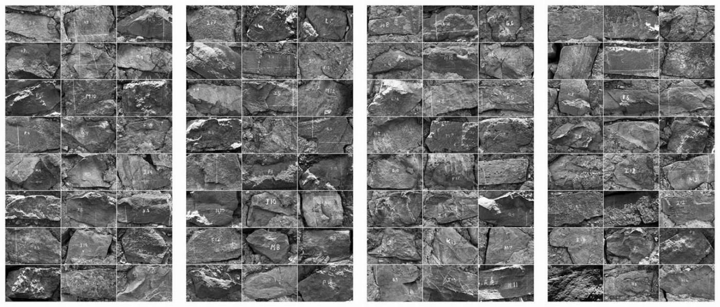 Fotografías artísticas