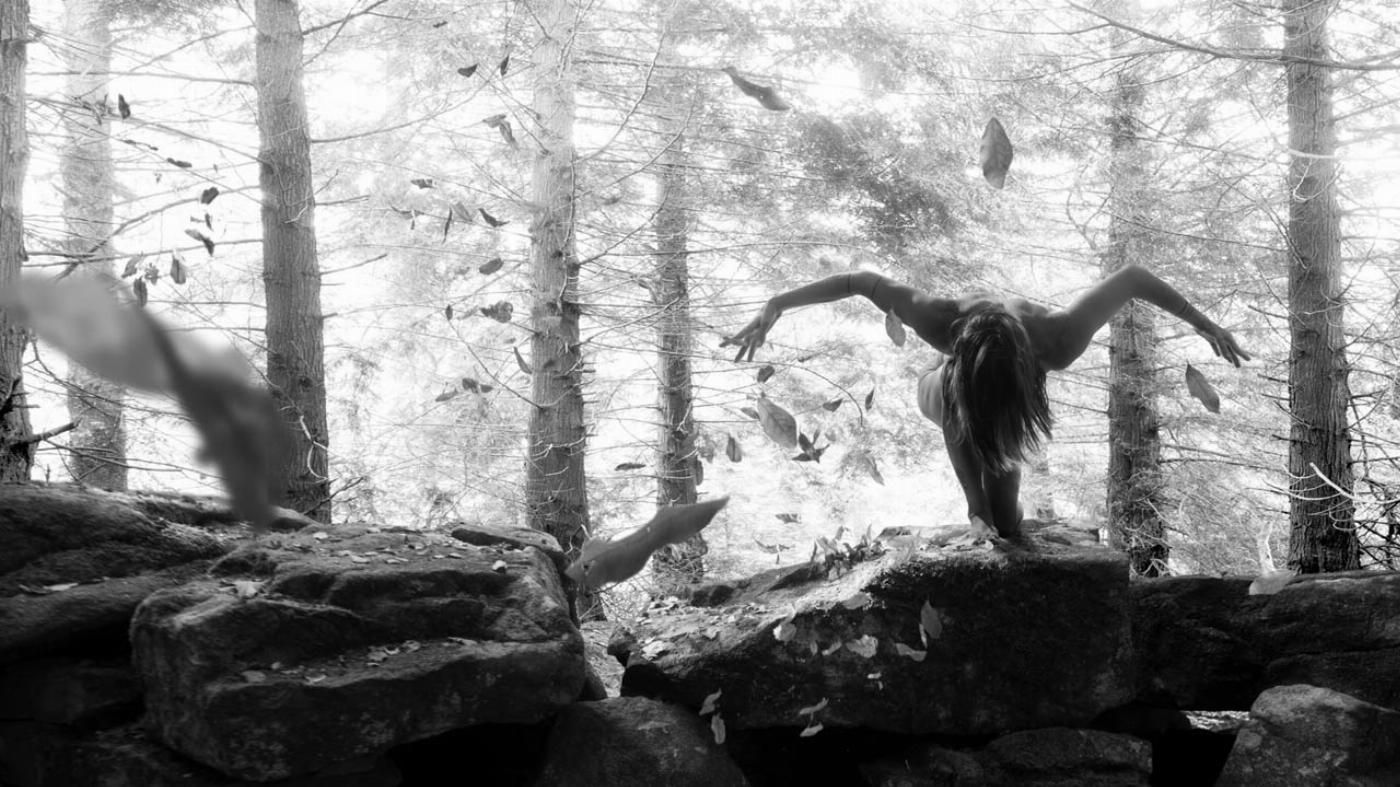 agradecimiento nicolas serrano artista