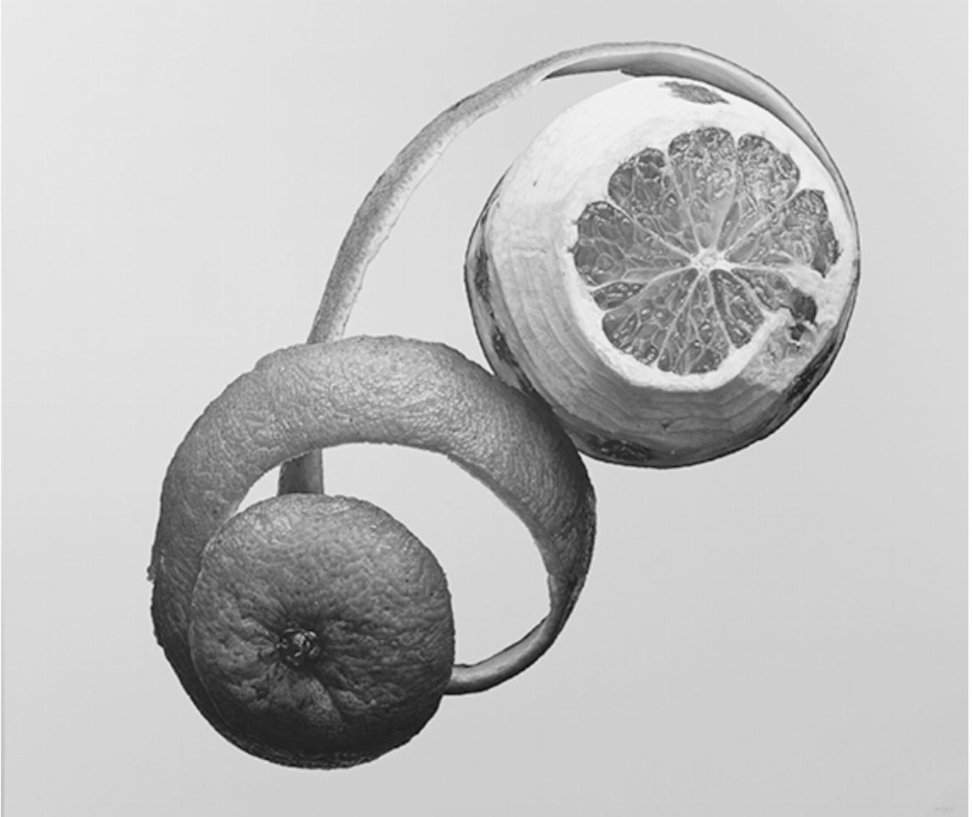 limon obra hiperrealista