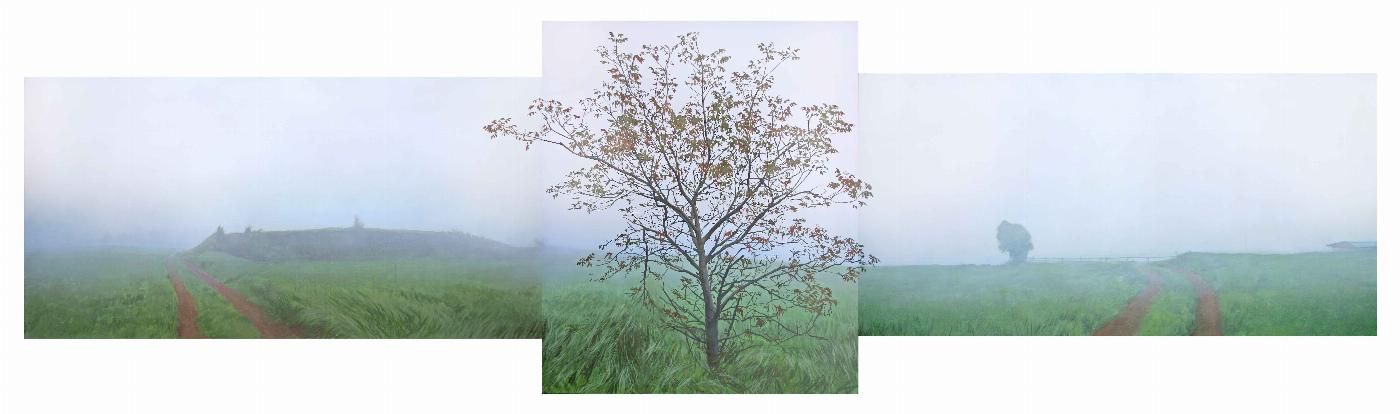 artista hiperrealista 