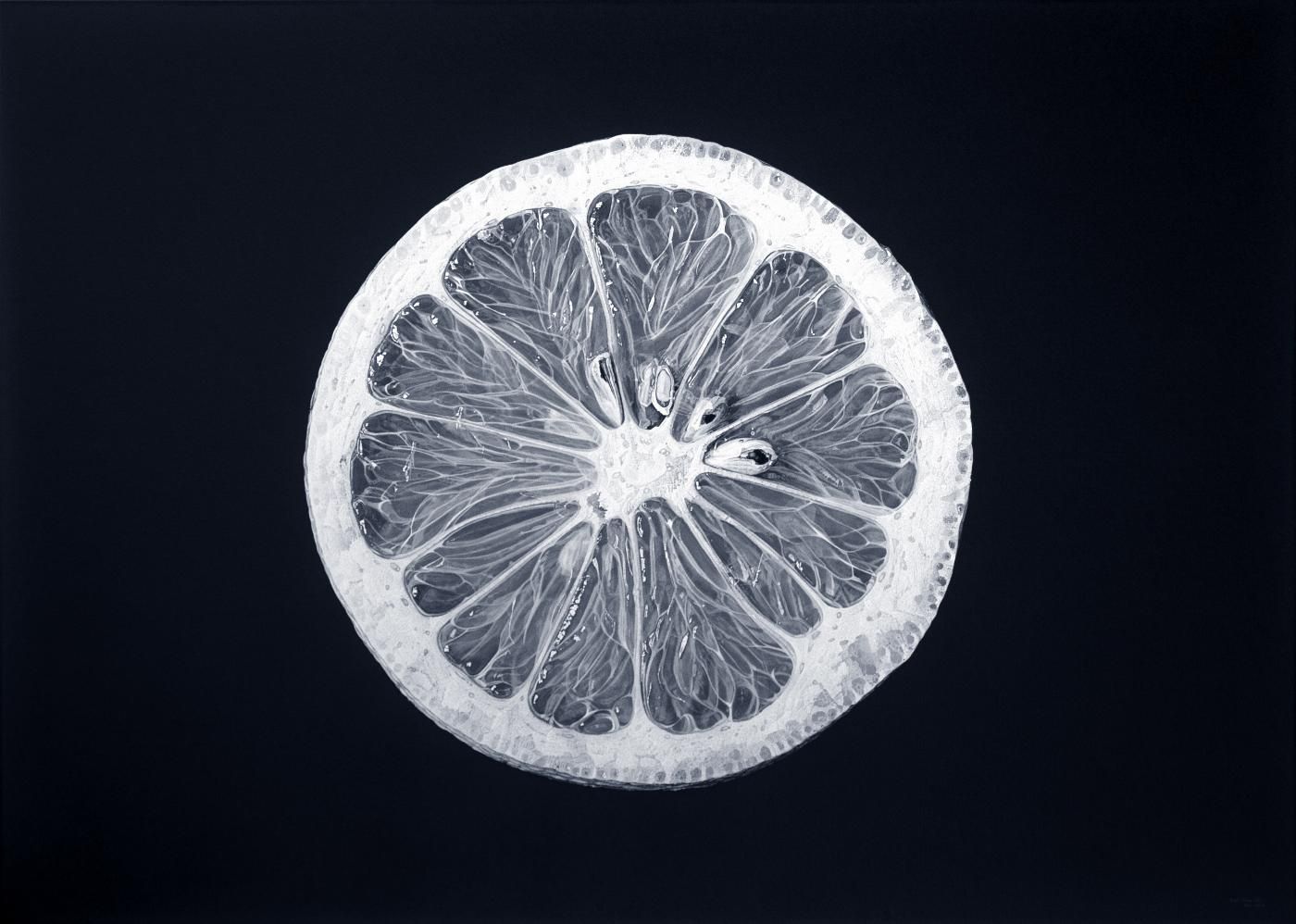 obra arte limon hiperrealismo