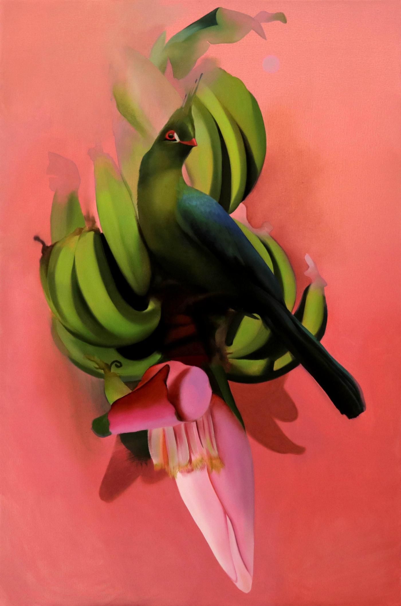 neofiguracion turaco