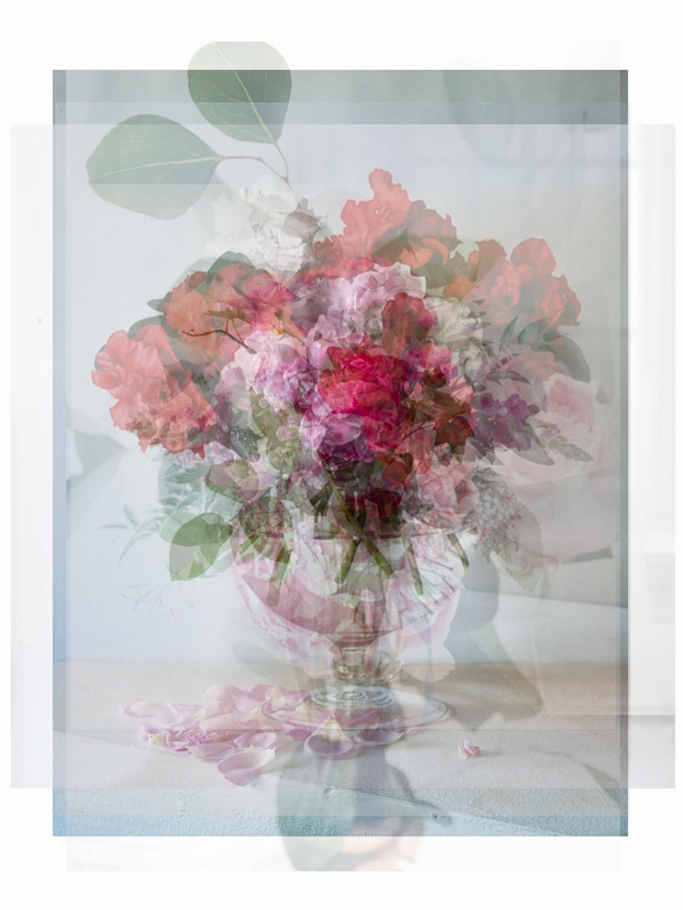 Pascual + Vincent 3451