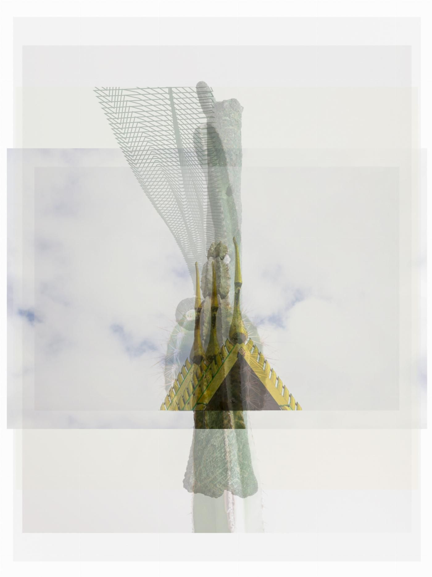 Pascual + Vincent3450