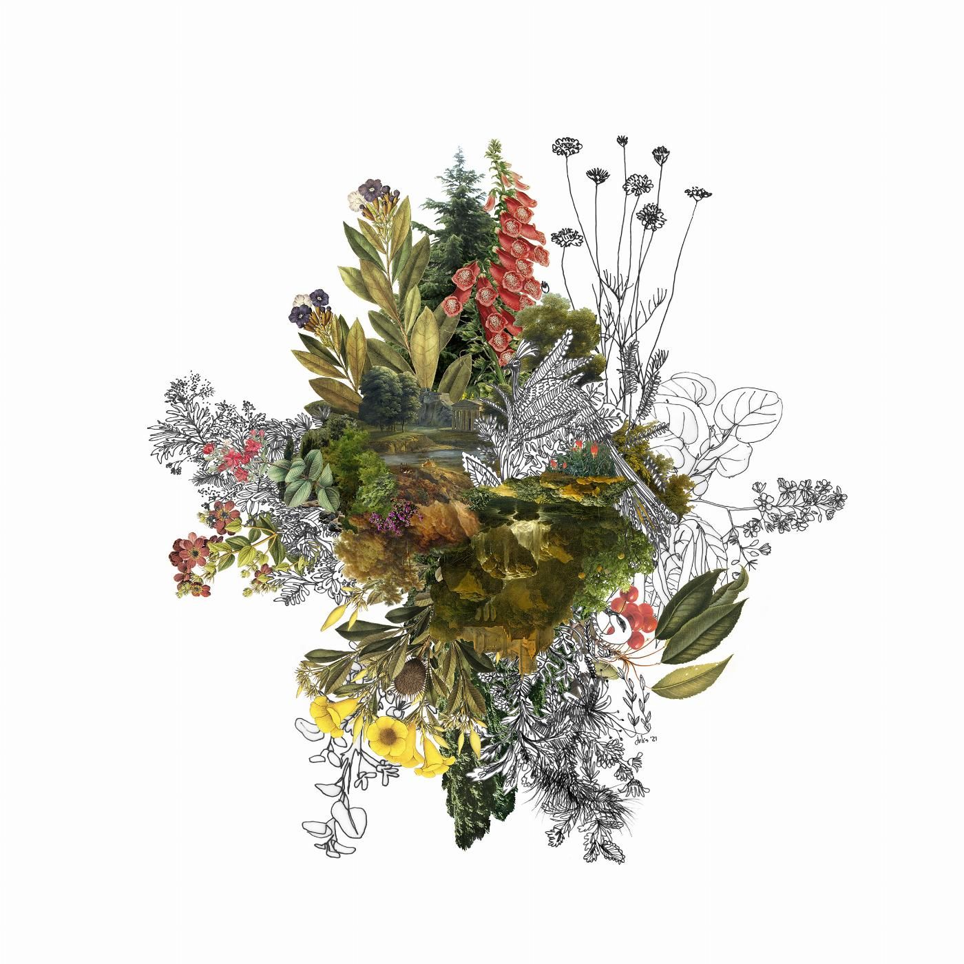 Dibujo flores y naturaleza