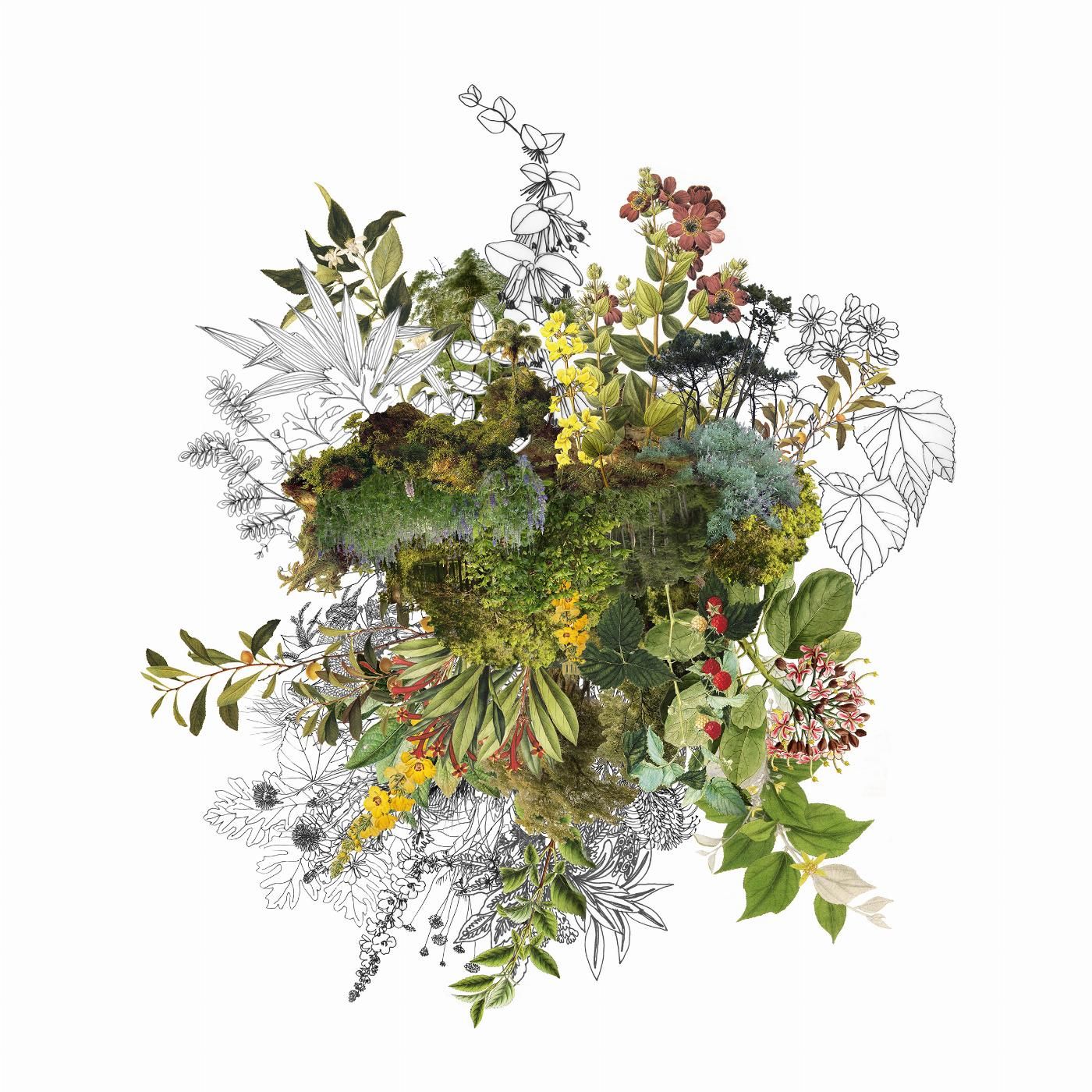 Dibujo de plantas y naturaleza