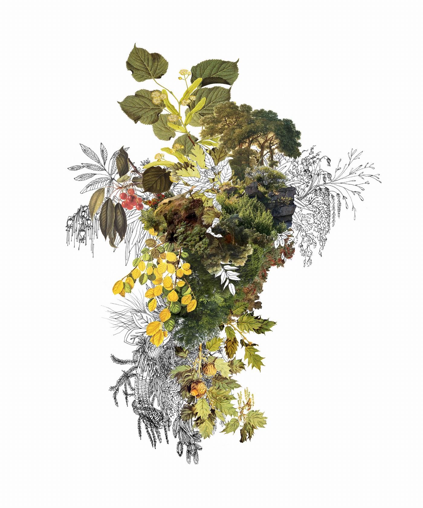 Fotografía de paisaje